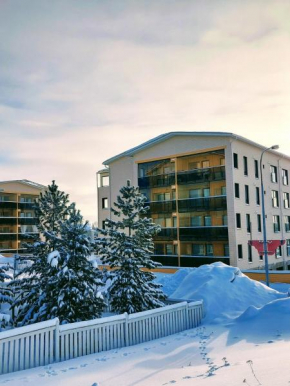 Arctic Aurora Luxury